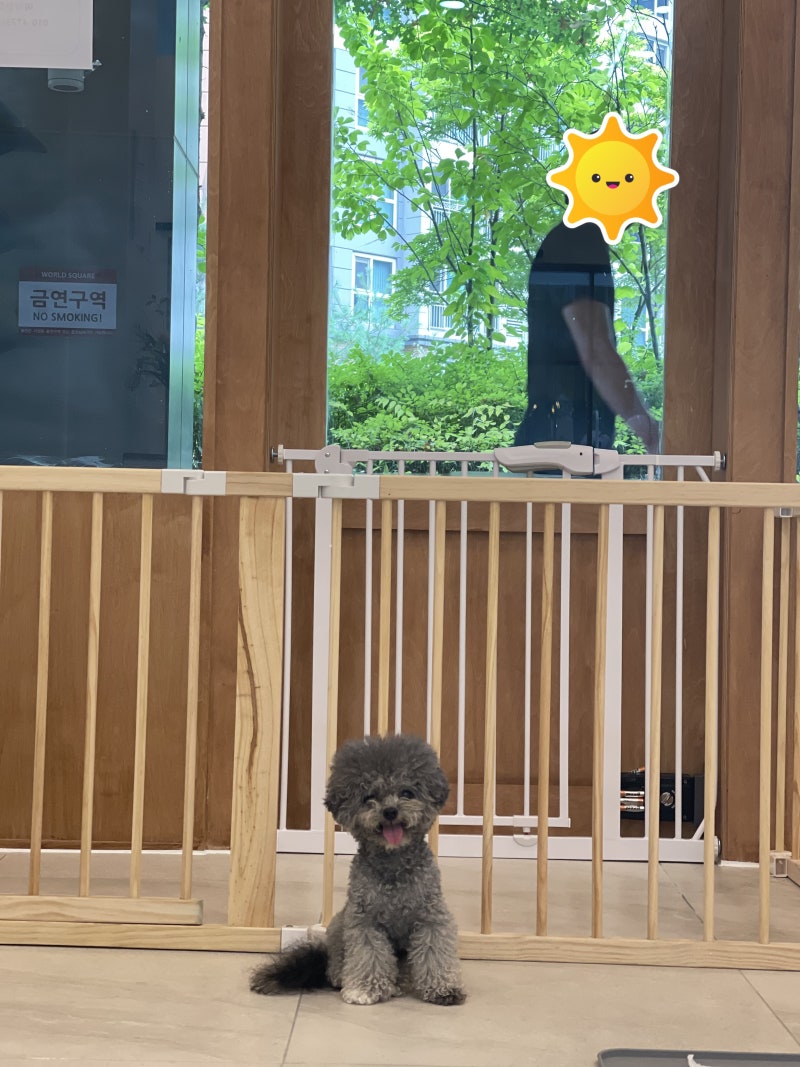 사진 5
