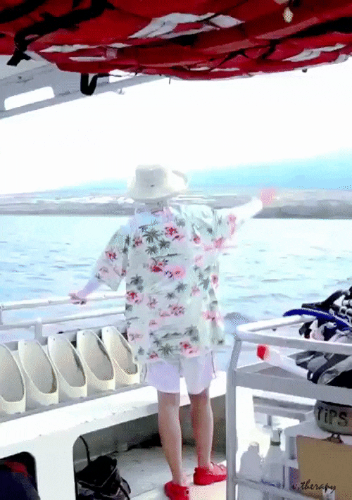 GIF2N43rkImtF9I2mrG08.gif?type=w800