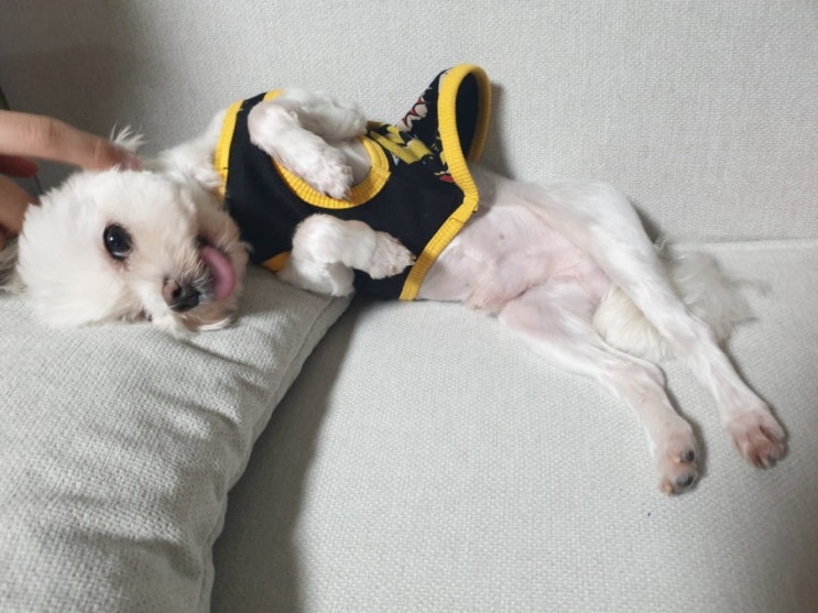  나지금 떨고있냐