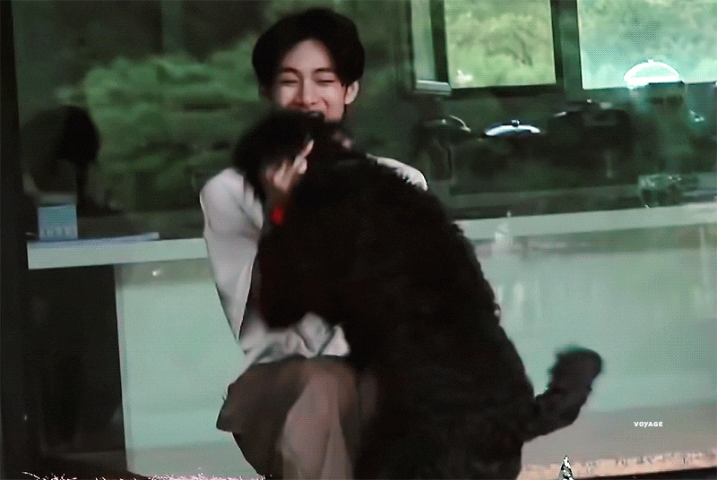 1626952341241%EF%BC%8D0.gif?type=w800