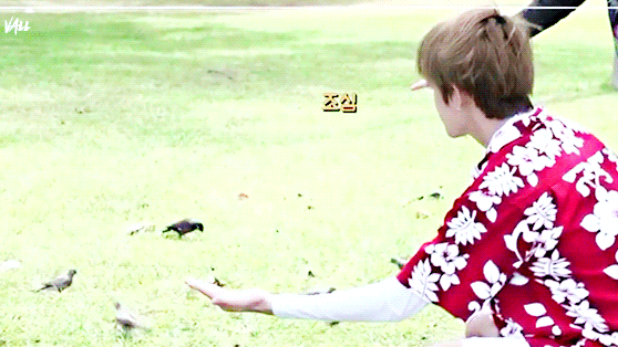 ObeseCircularBluebird%EF%BC%8Dsize%EF%BC