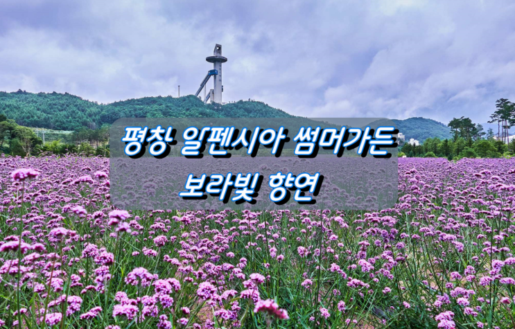 평창 가볼 만한 곳, 알펜시아 서머 가든 평창 가볼 만한 곳, 알펜시아 서머 가든