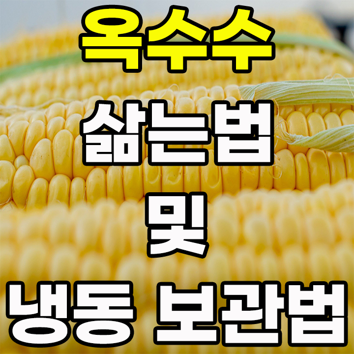  생옥수수 냉동보관법 및 삶는법