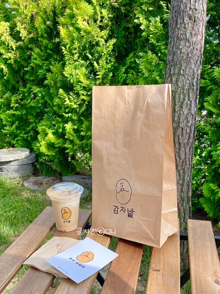  춘천카페 감자밭! 동글동글 귀여운 감자빵! 맛있게 먹는 팁까지!(+민트 초코 감자빵)
