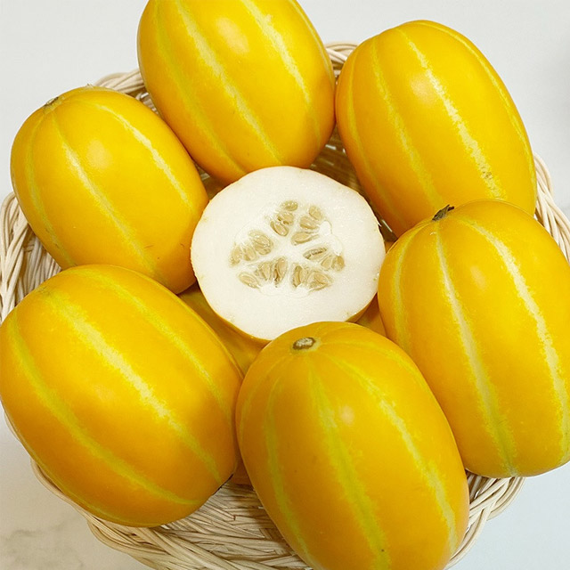인지도 있는 (비앰푸드)클라스가 다른 성주 참외 3kg, 가정용 성주 참외 3kg(로얄소과 12-20과) 추천해요 인지도 있는 (비앰푸드)클라스가 다른 성주 참외 3kg, 가정용 성주 참외 3kg(로얄소과 12-20과) 추천해요