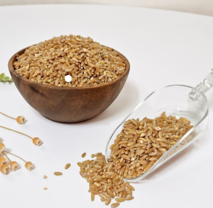 카무트쌀 카무트 효능과 부작용, 먹는 법 총정리! 당뇨 다이어트에 좋은 쌀