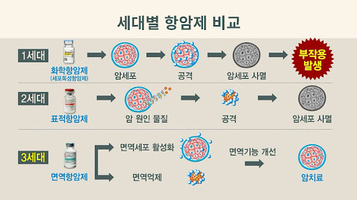  항암제 종류 투약 항암제 이모저모