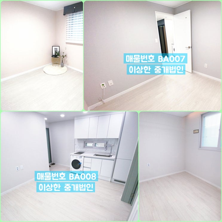  강서구화곡동전세 집 4037개 보고 알려드리는 황금 매물 탑5