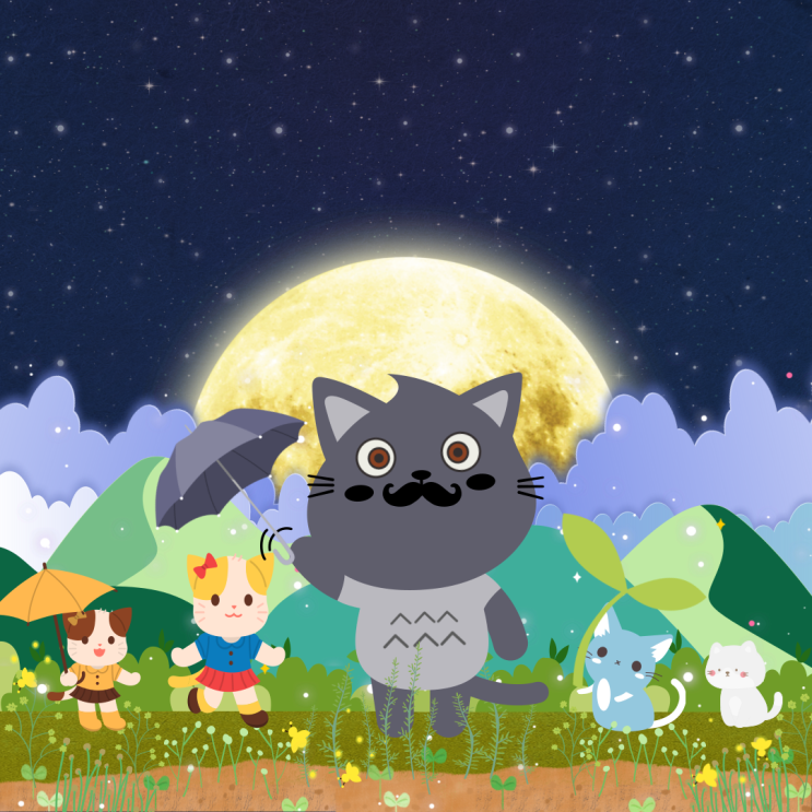  고양이 수염 빠짐이 자주 생기면 안 되는 이유와 대처법