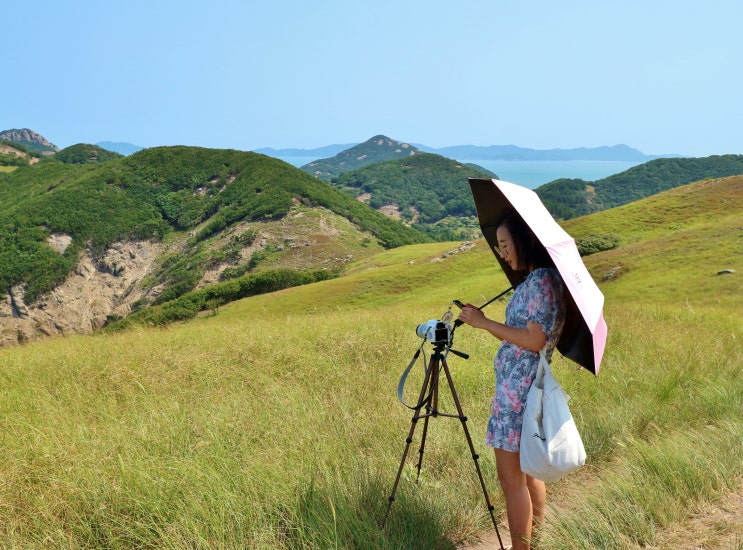 여름 굴업도 민박 커플여행 2박3일, 낚시로 삼시세끼