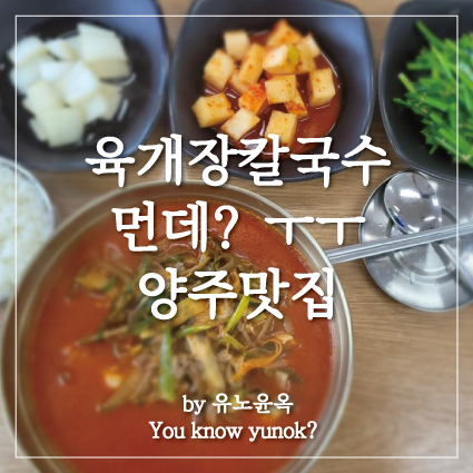  양주시 한국인이사랑하는 육개장 칼국수 맛집 이조명가