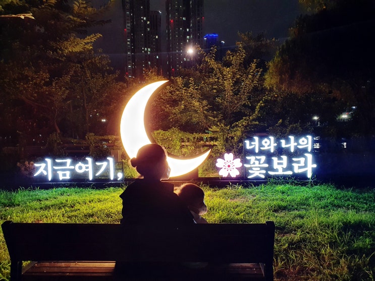  침산동에서 가까운 꽃보라동산 아기와 산책 with 주차 정보