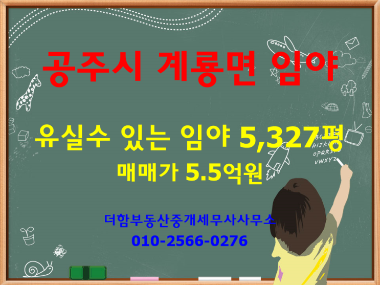  [거래완료]세종시 인근 공주시 계룡면 토지, 임야(과수원) - 5억 5천만원