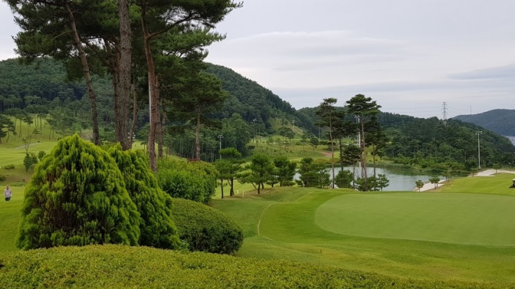  홀인원 과 친구 P / 수필가 추대식