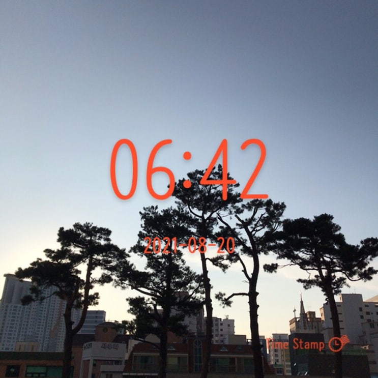  다시, 알찬하루 만들기 ~  (89일차)
