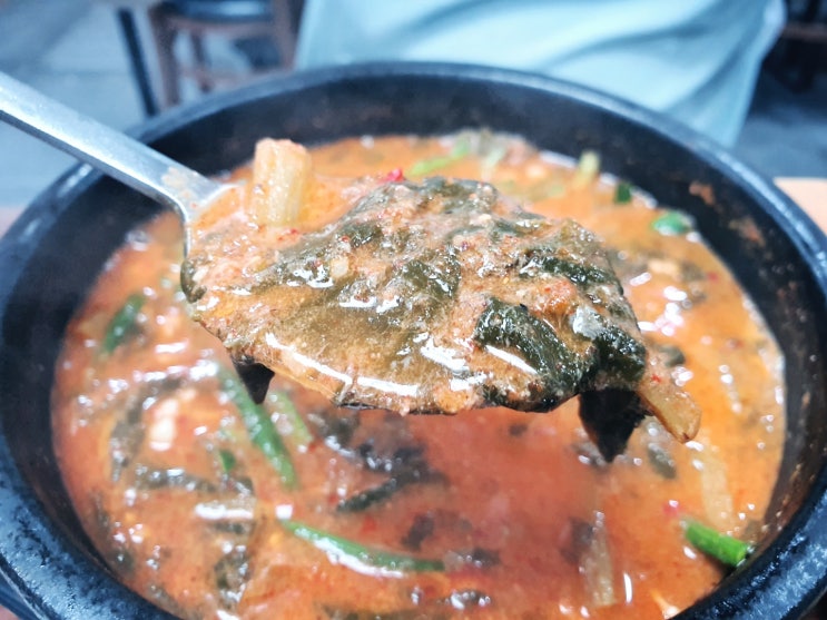  천안 봉명동 맛집 송담추어탕 천안백석점 실후기(내돈내산)