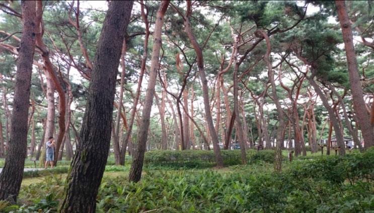 <Gospel. Song> 주 은혜임을 주 나의 모습보네 주사랑 내게있네 <Gospel. Song> 주 은혜임을 주 나의 모습보네 주사랑 내게있네