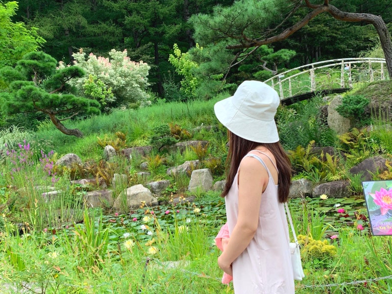 경기도 여행 아침고요수목원 가평 가볼만한 곳 (강아지 동반은)