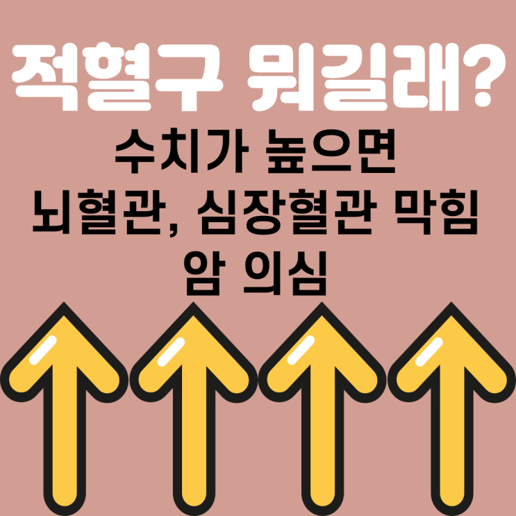  적혈구 수치 높으면 어떻게 될까요?