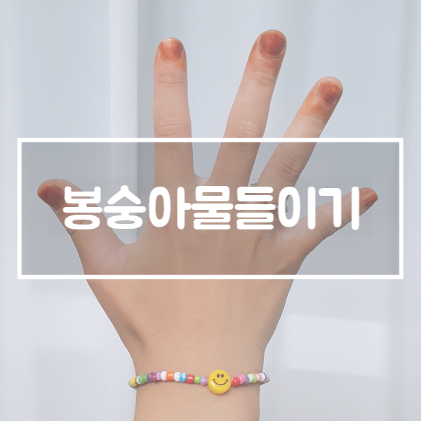  전통 놀이 옛날 놀이 :: 봉숭아 물들이기