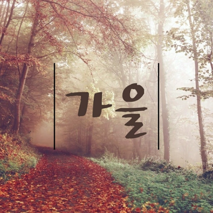  가을~, 가을시 모음 즐감해 보세요!