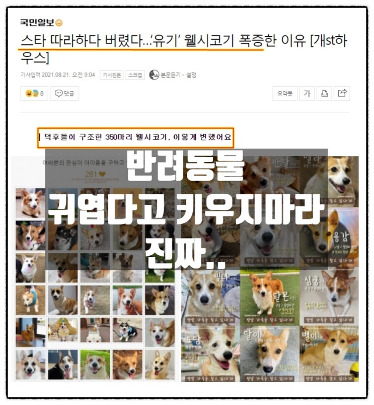 반려동물, 귀엽다고 키우지마라 진짜... 반려동물, 귀엽다고 키우지마라 진짜...