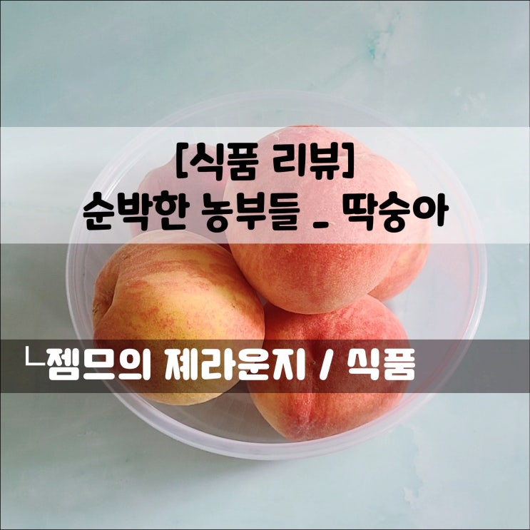  <순박한 농부들_딱딱이 복숭아> 맛있는 딱숭아