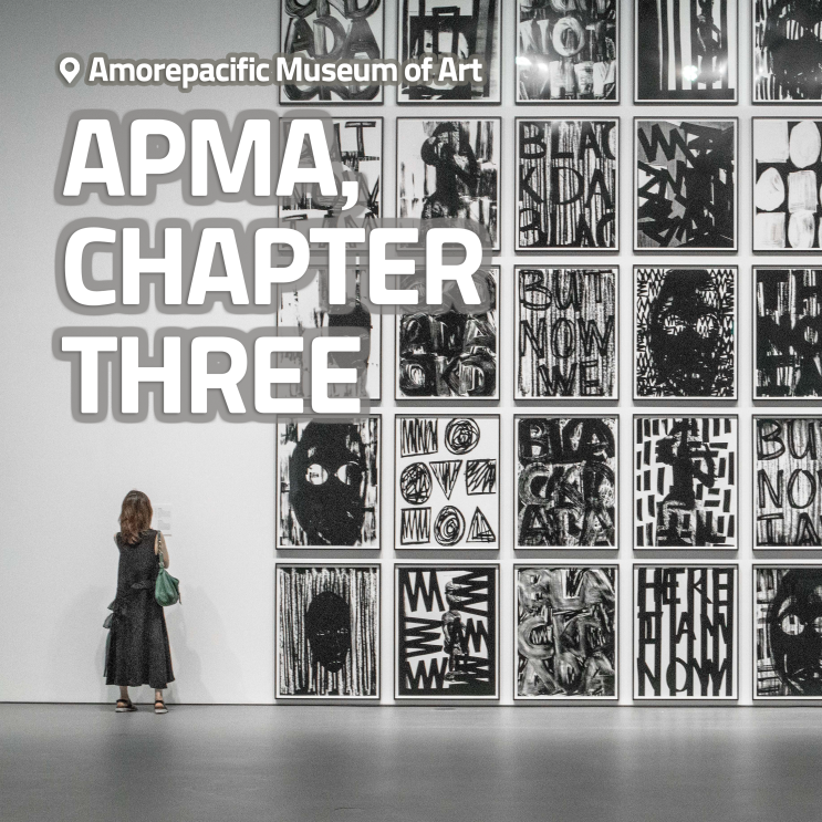  [전시회] <APMA, CHAPTER THREE> from The APMA Collection 후기, 아모레퍼시픽미술관