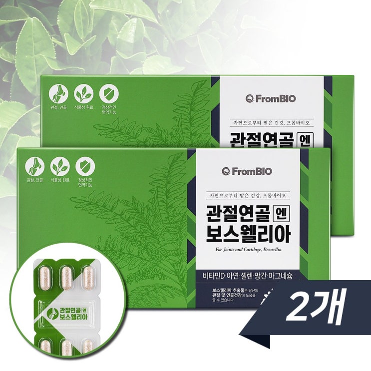 선택고민 해결 프롬바이오 (1+1) 보스웰리아 관절연골엔 120정 (총240정), 2개 좋아요 선택고민 해결 프롬바이오 (1+1) 보스웰리아 관절연골엔 120정 (총240정), 2개 좋아요