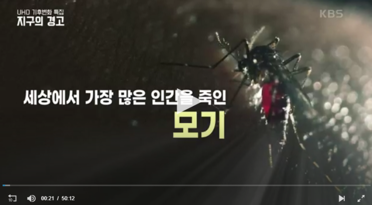 모기의 역습 (기후변화특집 다큐멘터리 소개) 모기의 역습 (기후변화특집 다큐멘터리 소개)