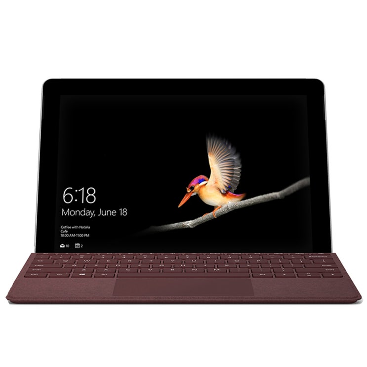많이 팔린 마이크로소프트 2019 Surface Go 10 + 버건디 타입커버, 펜티엄, 128GB, 8GB, WIN10 S, KAZ-00010 추천해요