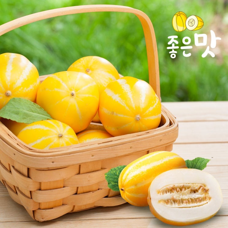 의외로 인기있는 [좋은맛] 아삭달콤 성주 꿀참외 5kg (14-15과) 추천합니다