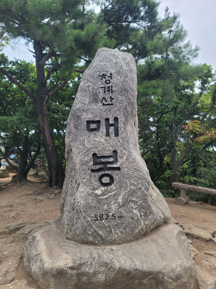  도시락과 줍깅이로 제로 웨이스트 시작해요!