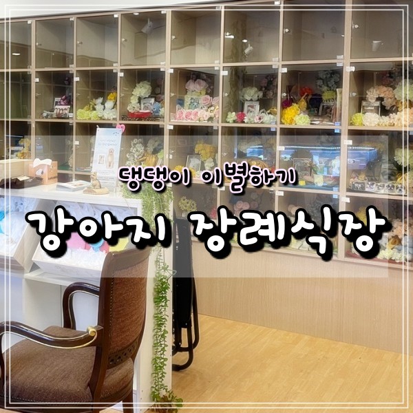  강아지임종때문에 여사친 댕댕이 반려견장례식장 직접 방문해보았습니다.