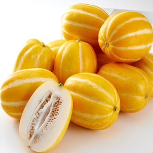 인지도 있는 산지직송 성주 꿀 참외 5kg (랜덤), 랜덤과5kg ··· 인지도 있는 산지직송 성주 꿀 참외 5kg (랜덤), 랜덤과5kg ···