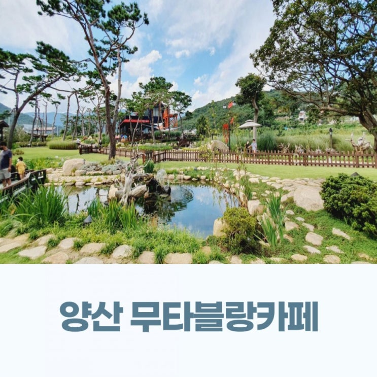  경남 양산 무타블랑 조경 이쁜 야외 정원이 있는 카페 뷰맛집으로 추천해요 아이도 좋아해요!