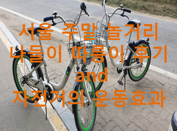  서울 주말 놀거리 나들이_따릉이 and 자전거 운동효과