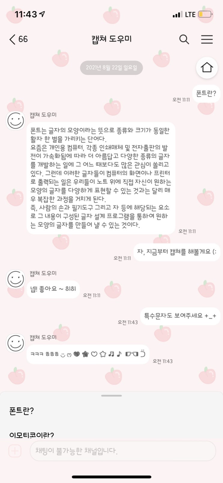  애정하는 폰트후기 ఇ
