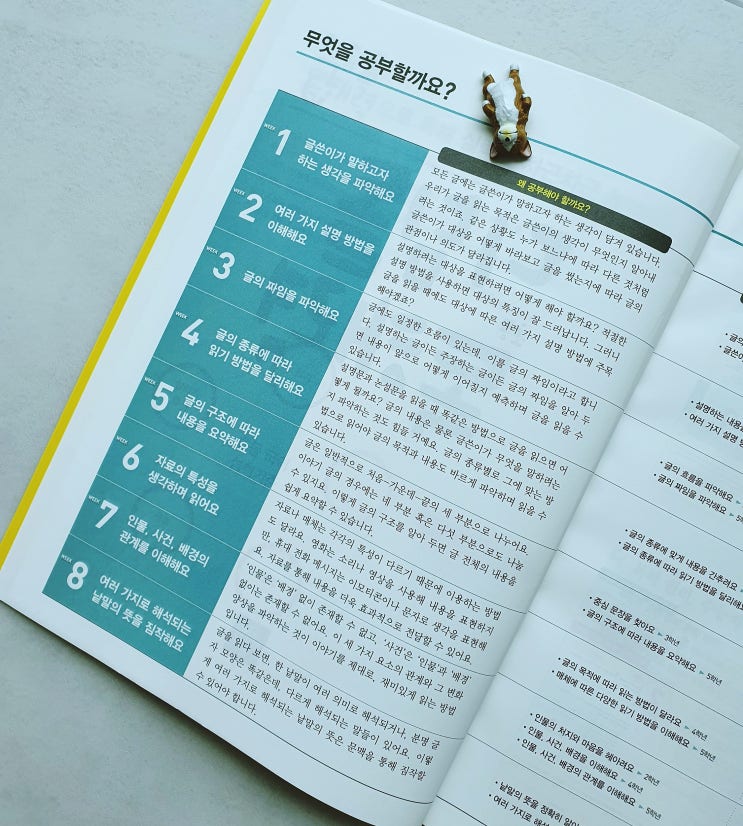  초등독해문제집 추천 매일 독해력 높이기!