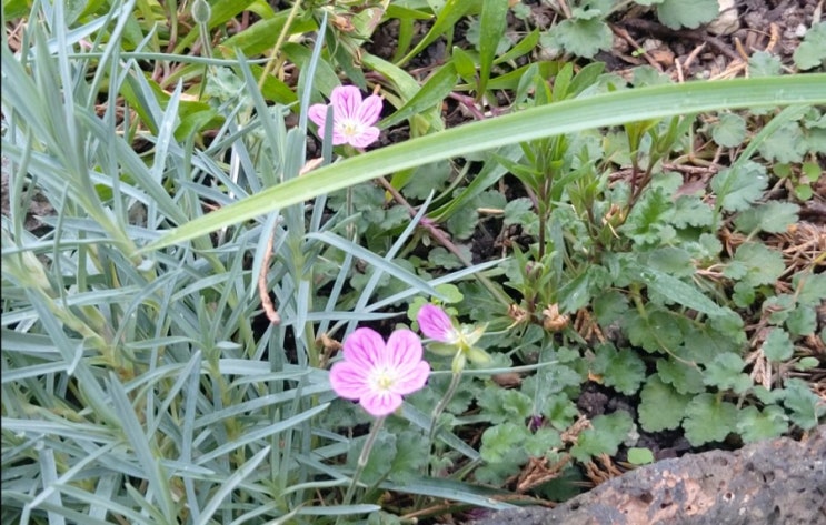<에세이>사람 사람을 만나는일 일생을 대하는 것 보통의 존재 <에세이>사람 사람을 만나는일 일생을 대하는 것 보통의 존재