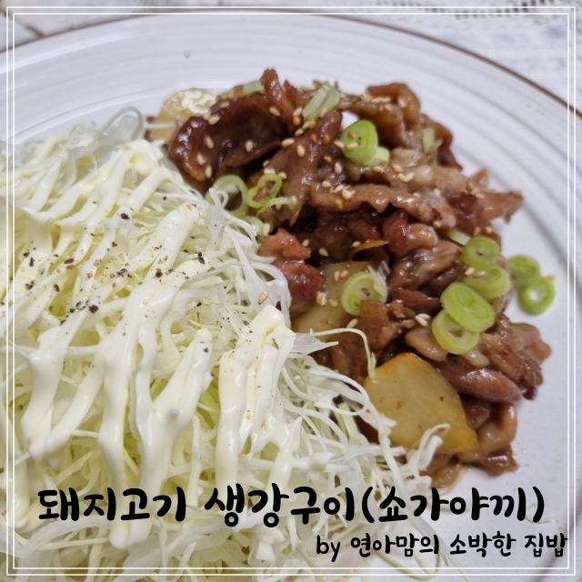  진저한생강 농부창고 생강청 진액으로 돼지고기생강구이(쇼가야끼) 백종원의 요리비책