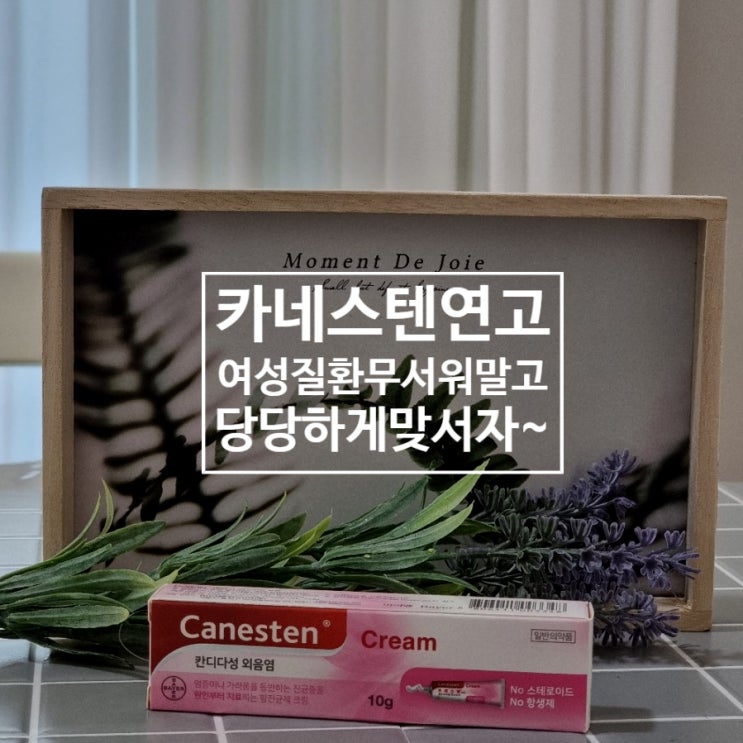  카네스텐연고 효능 및 질염의 특징/바르는 법/예방법