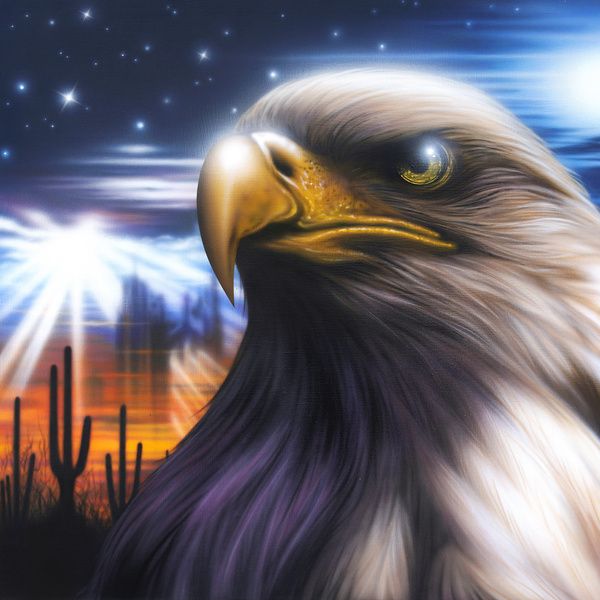  실리카겔의 'Desert Eagle' 코드