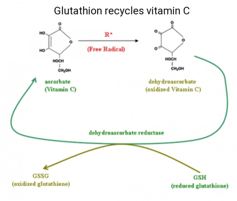 glutathione 뜻 중요) 글루타티온(Glutathione)(건식에서) : 네이버 블로그
