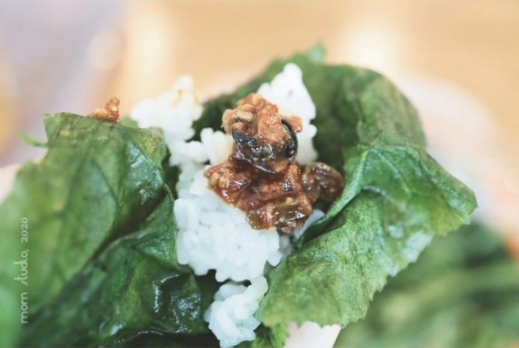  내 최애 힐링 음식 호박잎과 우렁이 된장