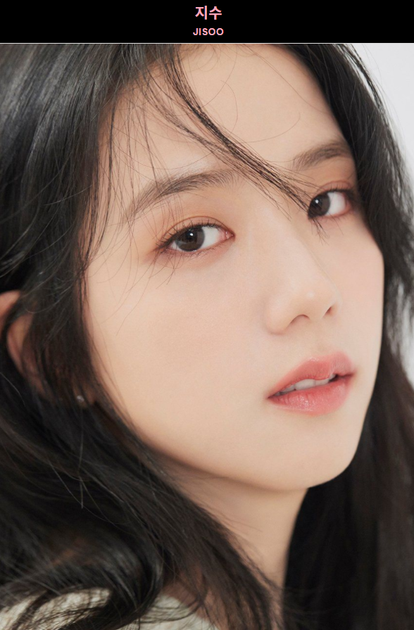  블랙핑크 지수 프로필 나이 비주얼 사진 인스타그램 데뷔전후 출연 예능 방송 광고 화보모델 보컬 역대 프로필 사진 디올 blackpink jisoo profile