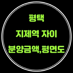 평택 지제역 자이 분양가, 평면도, 분양권 전매 제한
