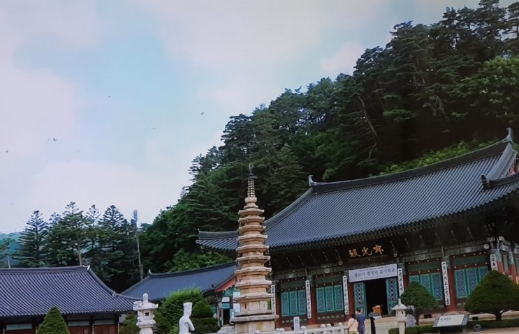  인간극장 백운암 주지스님으로 발령받은 인도에서 오신 도엄스님