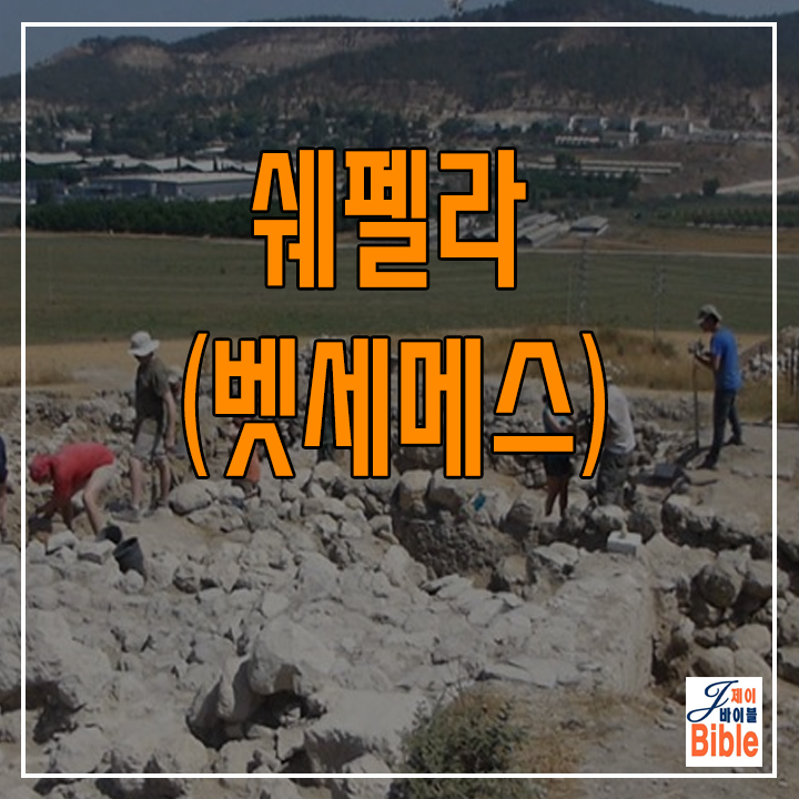  이스라엘 쉐펠라 벳세메스 (베이트 쉐메쉬 =בית שמש)