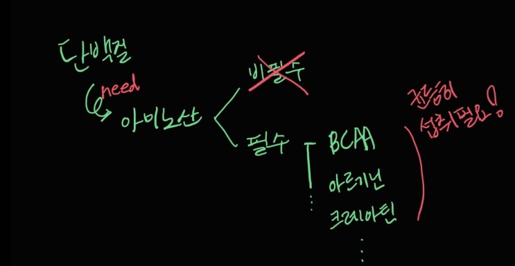  성분별로 나뉘는 보충제(bcaa, 아르기닌 ,,,) 알아두기